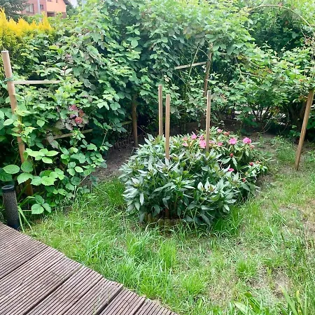 Piekny Z Tarasem * Szczecin