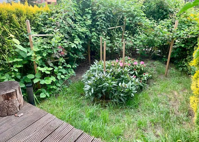 Piekny Z Tarasem * Estetino